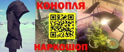 кокс Пушкино