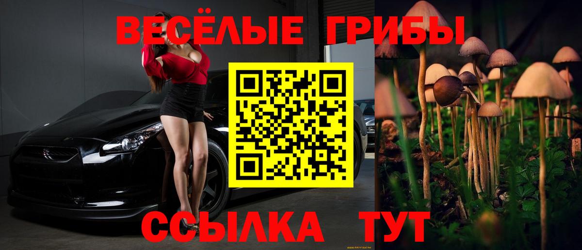 Псилоцибиновые грибы мухоморы  Вход с VPN  Альметьевск 